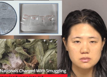 Chinese Nationals Charged With Smuggling Crop Destroying Fungus Into U.S.